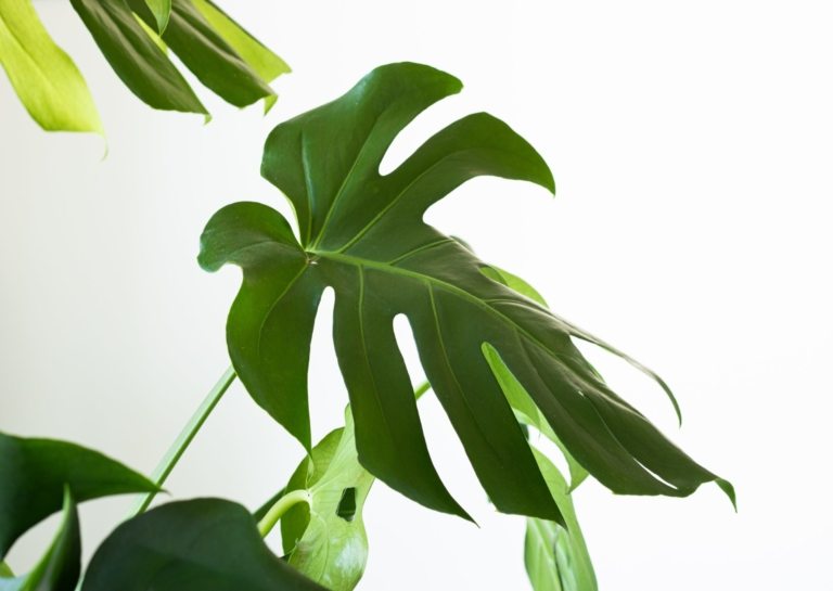 CÔNG TY TNHH THIẾT KẾ & QUẢNG CÁO HƯỚNG NAM